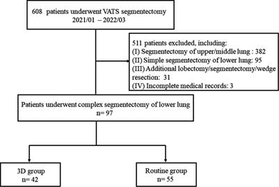 Application of three-dimensional (3D) reconstruction in the treatment of video-assisted thoracoscopic complex segmentectomy of the lower lung lobe: A retrospective study